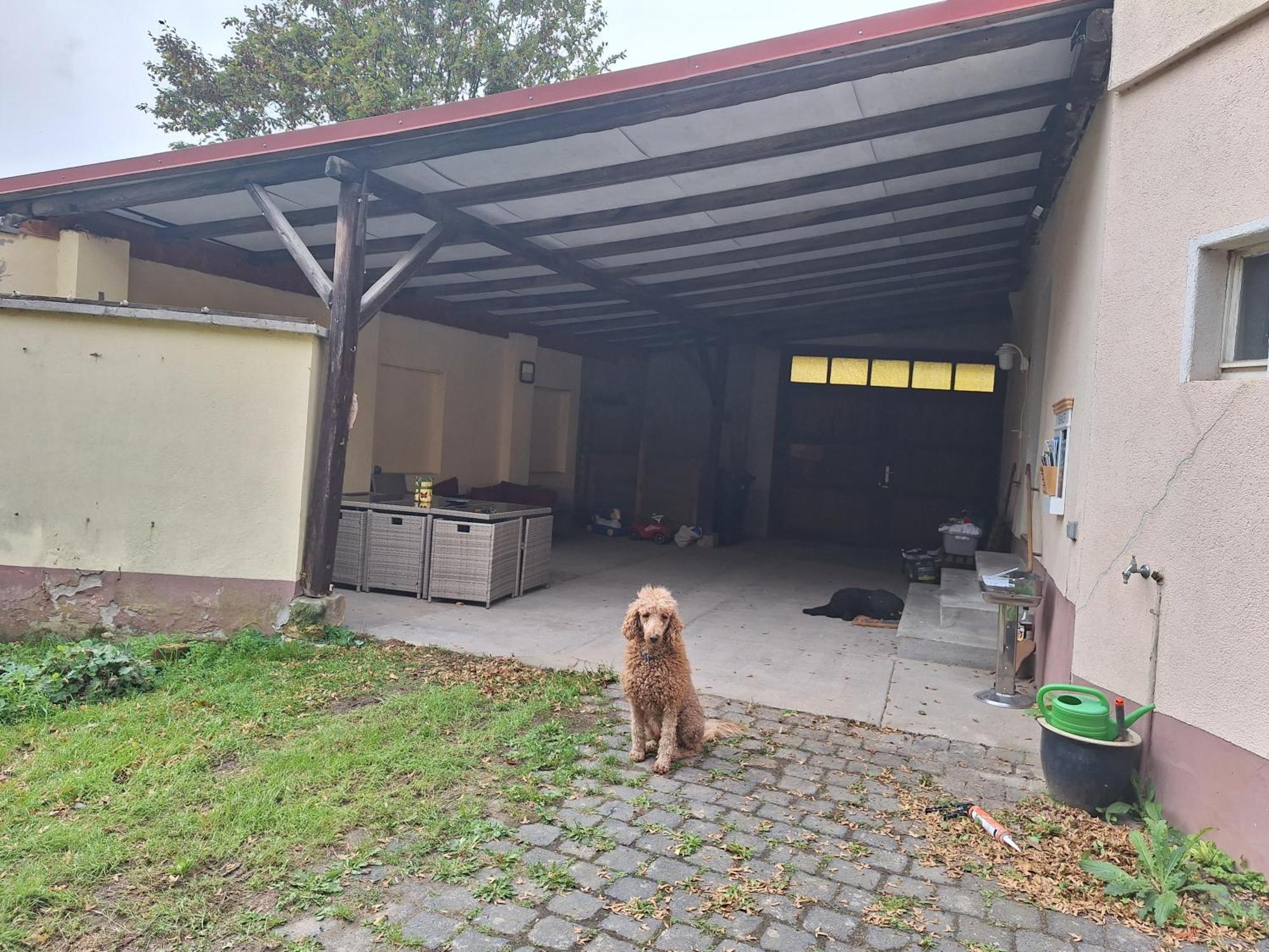 Ferienhaus Herztor Bad Bibra Exterior foto